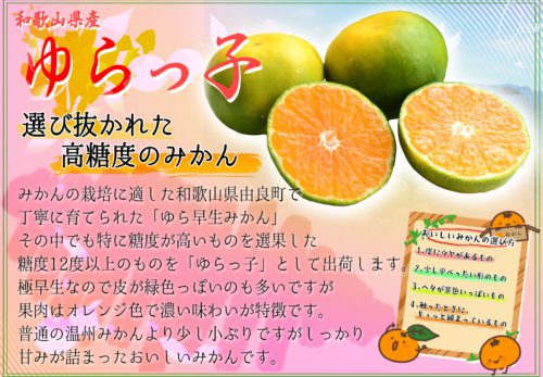 和歌山県産　ゆらっこみかん　試食イベントのお知らせ12/12（火）