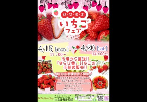 The fruits shop　期間限定！数量限定！いちご手詰めイベント