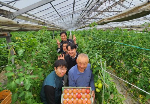 【2025/4/18（金）限定・目黒店】産地直送“長生とまと”入荷します！