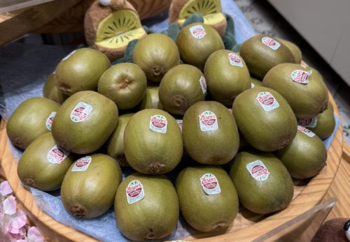 🥝✨ルビーレッドキウイ 試食販売のお知らせ✨