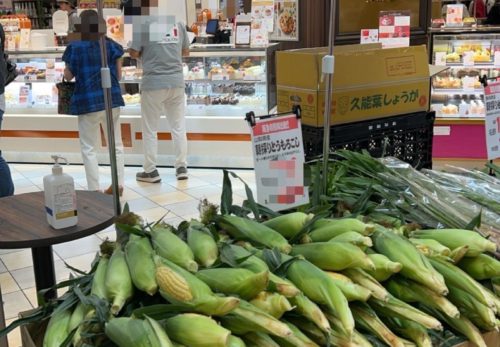 🌽【本日限定！朝採り 山梨県産とうもろこし 販売中】🌽