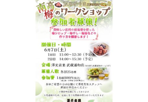 📣2025.6.7(土）　【南高梅のワークショップ 参加者募集！】🥄🌿
