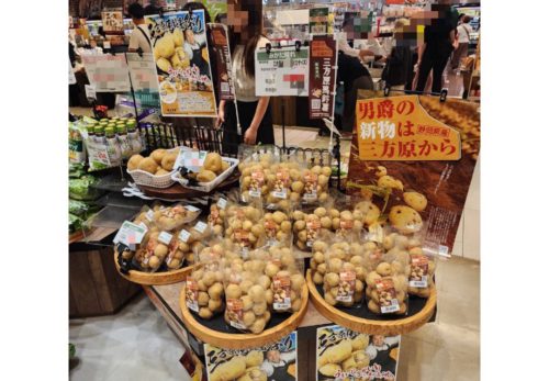 🥔✨【本日スタート！三方原馬鈴薯まつり】✨🥔 6/16（月）〜6/21（土） ＼澤光青果 全店で開催中！／