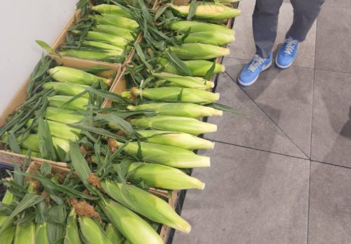 🌽【草加店限定】7/12（土）13時より販売中🌽