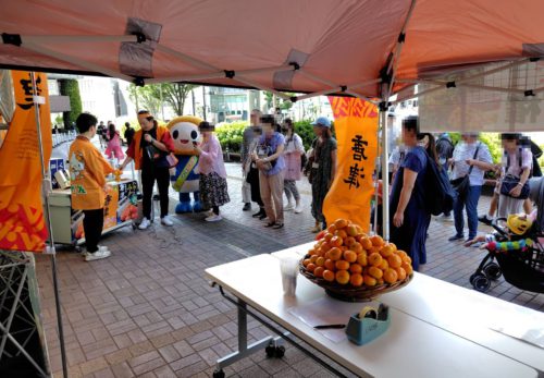 🍊✨【佐賀県 JA唐津 ハウスみかんフェア開催！】✨🍊