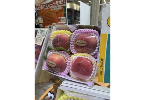 🎁✨ 澤光のお中元ギフト 受付中
