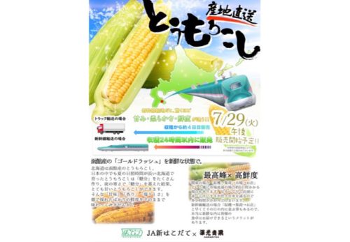 🌽🚄【7/29（火）限定！新幹線輸送で産地直送 新函館とうもろこし】🚄🌽