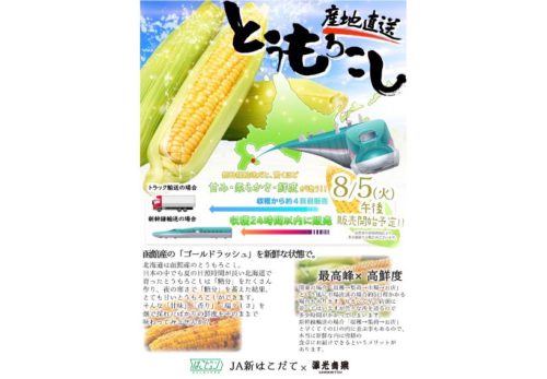 🚄🌽 北海道から“収穫後24時間以内”の新鮮とうもろこしが届きます！