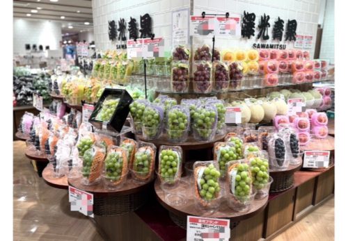 🎁✨ お盆の帰省に、夏の贈り物に 澤光青果の フルーツギフト はいかがですか？ 🍑🍇🍈