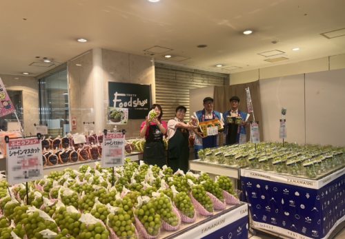 札幌店🍇🍇🍇 ぶどう祭り！🍇🍇🍇  🗓 9/4(木)～9/6(土)の3日間