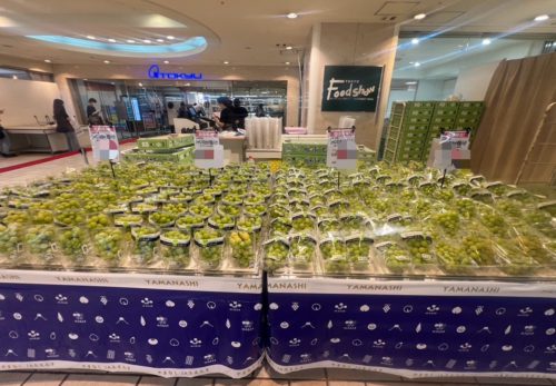 札幌店🍇 ぶどう祭り 最終日 🍇