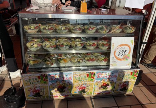 澤光青果 × 新座市東北小学校 × 尾崎ファーム コラボ　サラダボウル作り