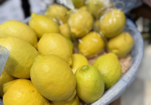 The Fruits Shop  ホットはちみつレモネード 始めました🍋🍯