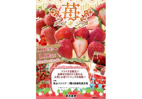 1/16（金）〜1/18（日）🍓✨澤光青果 ソラマチ店 いちごフェア限定イベント🍓
