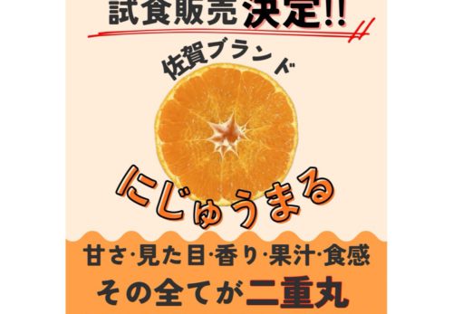 🍊✨3/19(木）佐賀県 産 にじゅうまる の試食イベント 🍊✨
